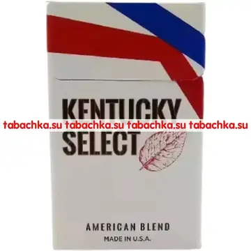 Сигареты Kentucky Select Сигареты Kentucky Select