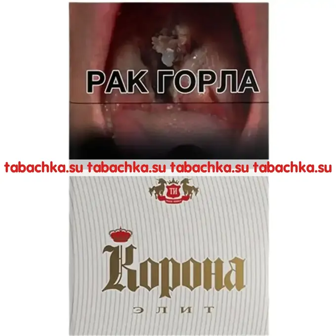 Сигареты Корона Элит