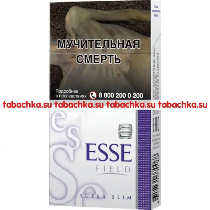 Сигареты Esse Field Super Slim