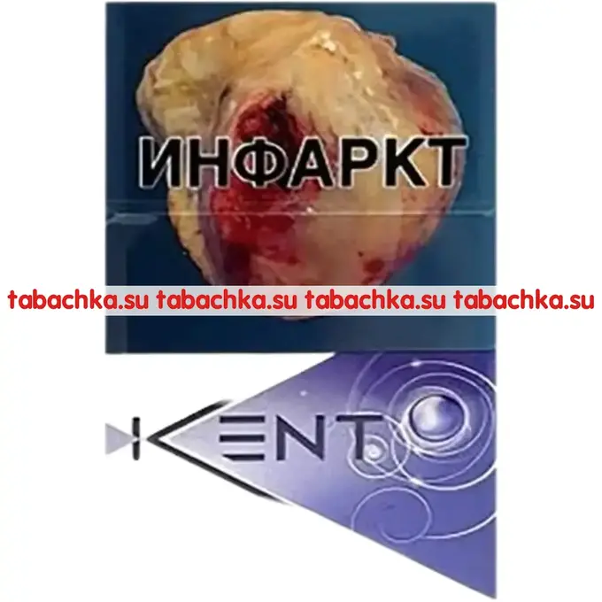 Сигареты Kent Purple