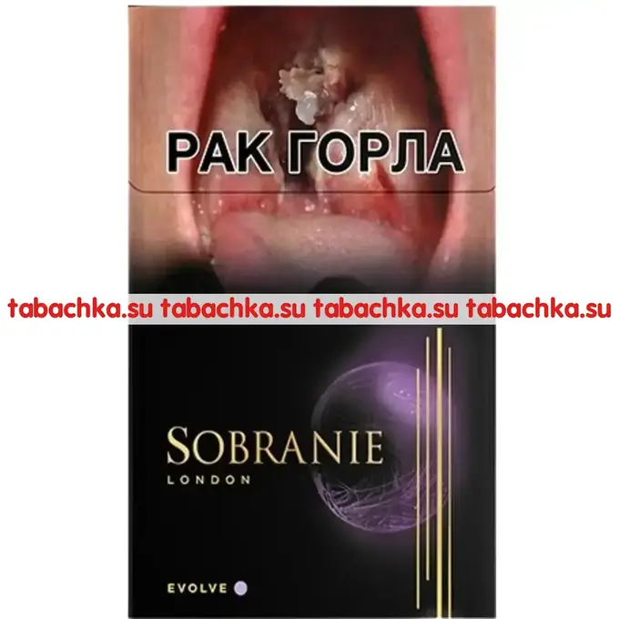 Сигареты Sobranie Evolve